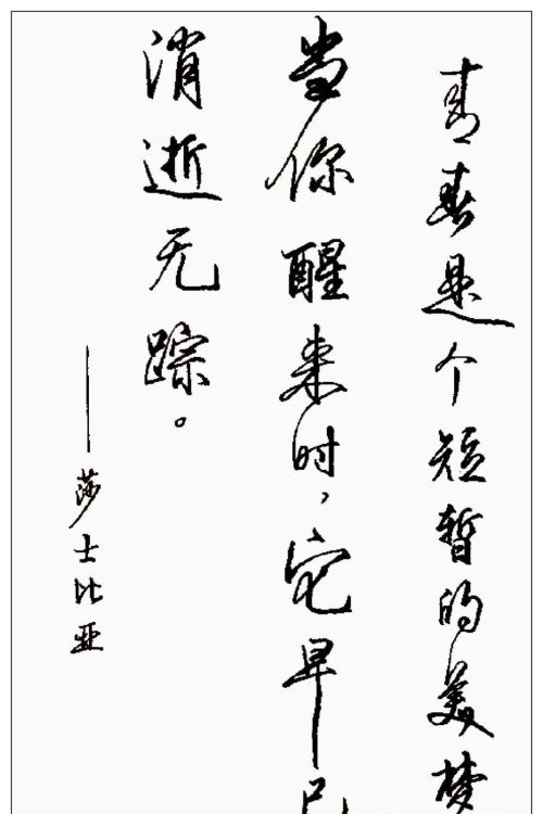 硬笔行书钢笔字书法作品欣赏(硬笔行书书法字帖大全钢笔画)