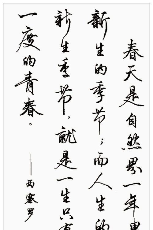 硬笔行书钢笔字书法作品欣赏(硬笔行书书法字帖大全钢笔画)