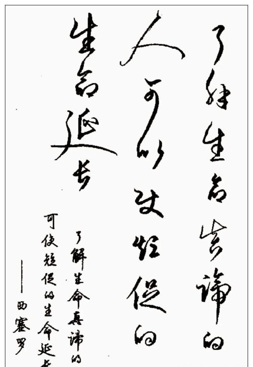 硬笔行书钢笔字书法作品欣赏(硬笔行书书法字帖大全钢笔画)