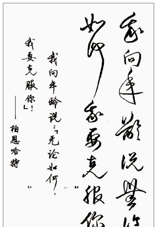 硬笔行书钢笔字书法作品欣赏(硬笔行书书法字帖大全钢笔画)