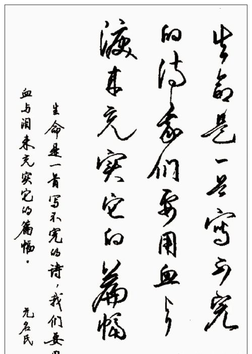 硬笔行书钢笔字书法作品欣赏(硬笔行书书法字帖大全钢笔画)