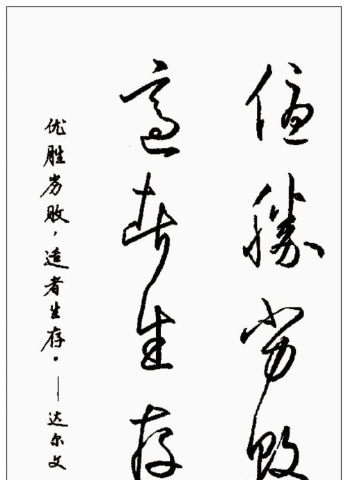 硬笔行书钢笔字书法作品欣赏(硬笔行书书法字帖大全钢笔画)