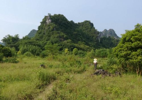 玄空大卦龙向水用法(六十四卦龙山向水组合)