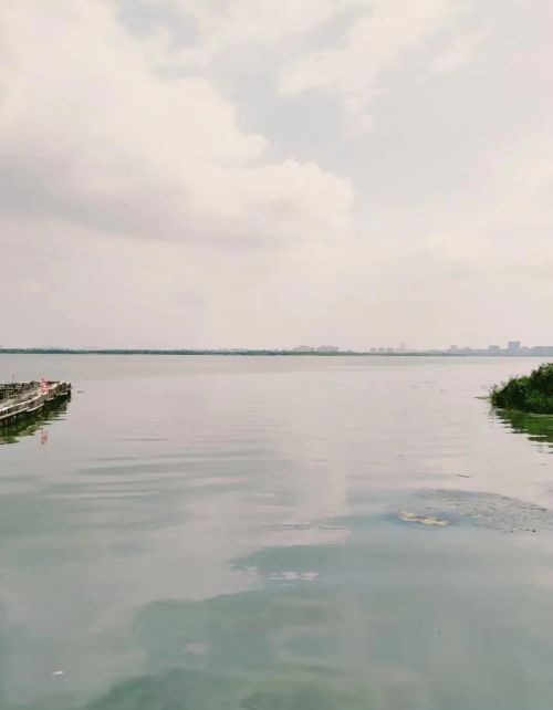 阳澄湖在哪个省哪个市?(阳澄湖大闸蟹)