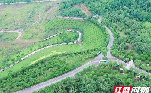 湖南省湘潭市岳塘区有什么路(湘潭岳塘区规划建设)