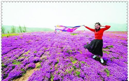 淄博网红打卡地有哪些(淄博网红打卡旅游景点)