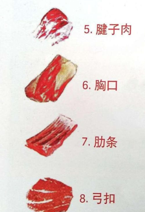 牛肉分部解剖图(最详细牛肉部位分割图食用法)
