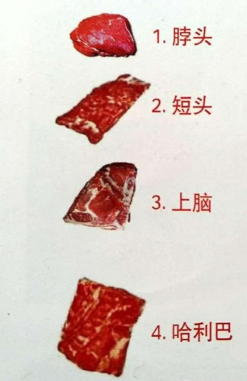 牛肉分部解剖图(最详细牛肉部位分割图食用法)