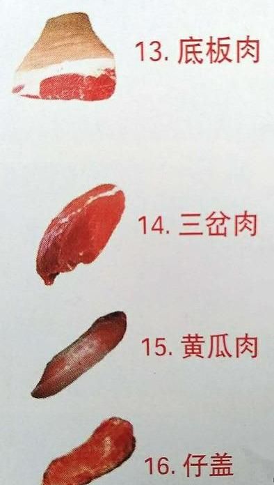 牛肉分部解剖图(最详细牛肉部位分割图食用法)