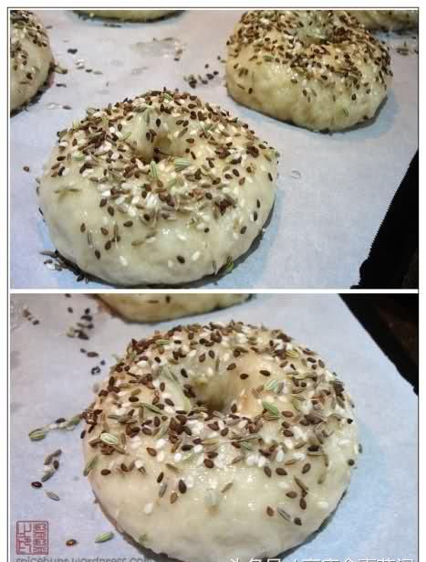 贝果bagel(贝果是什么种类的面包)