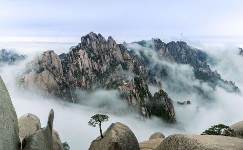 思维导图的写作方法(思维导图怎么写 语文作文)