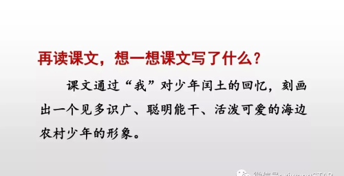 六年级上册语文第八单元少年闰土课件(6年级语文上册少年闰土)