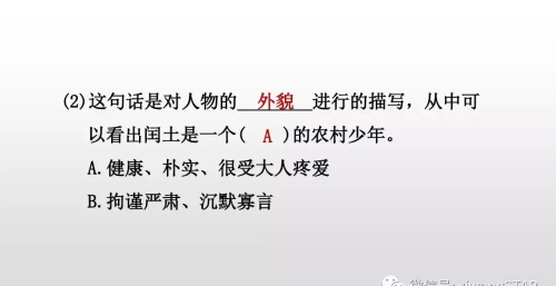 六年级上册语文第八单元少年闰土课件(6年级语文上册少年闰土)