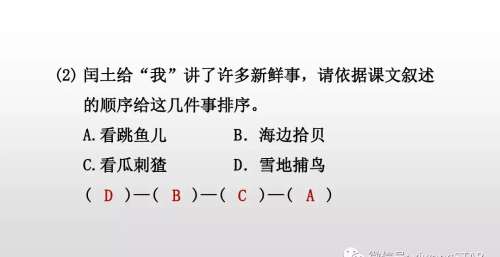 六年级上册语文第八单元少年闰土课件(6年级语文上册少年闰土)