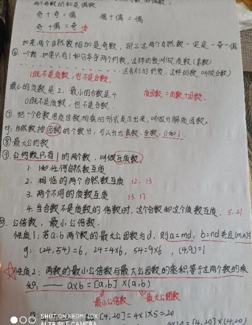 小学数学整数的知识点(小学整数的知识点整理)