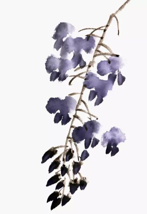 紫藤枝干怎么画(紫藤萝的画法简单)