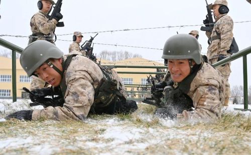 兵灾雪算雪(雪兵简介)