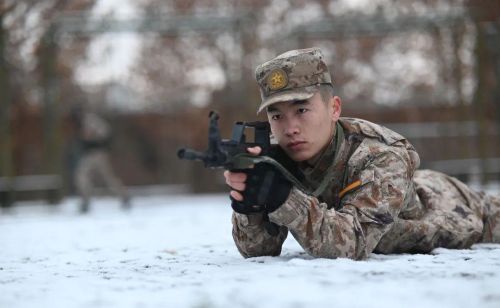 兵灾雪算雪(雪兵简介)