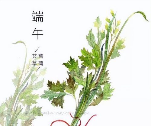 一年四季十二个月的别称(一年四季12个月都开什么花)