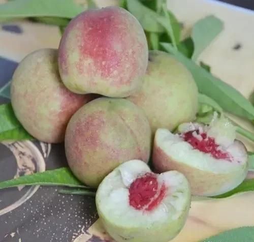 中国最好吃的桃子品种和名字(中国什么桃子最好吃)