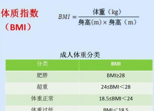 什么是bmi(什么是bmi的概念)