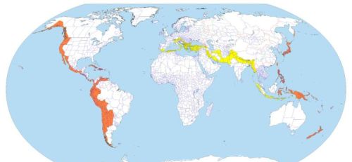 全球地震带分布(全球的地震带有哪些)