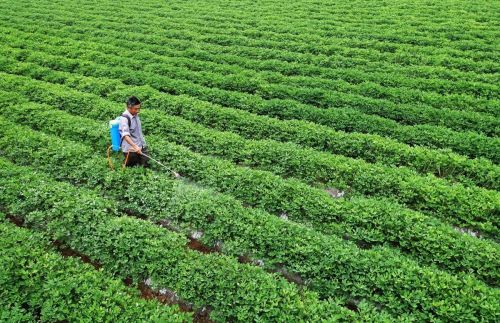 花生、甘蔗专用除草剂，除草干净彻底，持效期长