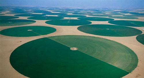 中国有没有沙漠靠海(中国沿海沙漠)