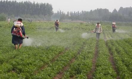 推荐一个国际级超高效除草剂