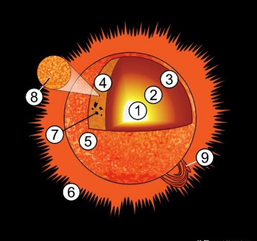 太阳的三层分别是什么(太阳里三层分别对应的是哪三层)