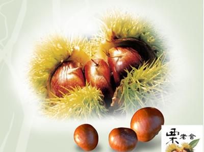 全国26个中国板栗之乡,哪里的板栗最好吃(全国最好吃的板栗产地)