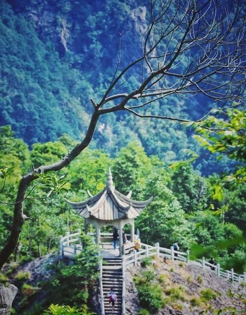 雁荡山旅游攻略(雁荡山风景区一日游攻略)