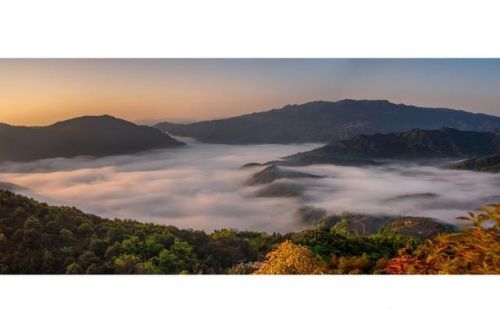 雁荡山旅游攻略(雁荡山风景区一日游攻略)