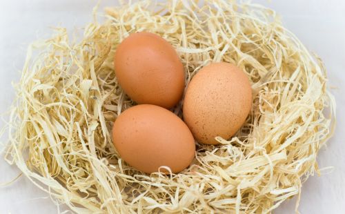 蛋鸡常见病的症状及诊治鸡大肝大脾怎么治蛋鸡肝病有哪几种