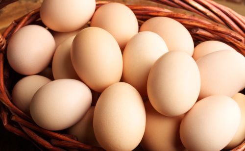 蛋鸡喂什么料下蛋多鸡怎么喂下蛋多蛋鸡产蛋高峰期是什么时候