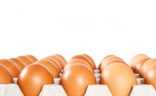 如何提高蛋鸡的产蛋率，蛋鸡不产蛋的原因