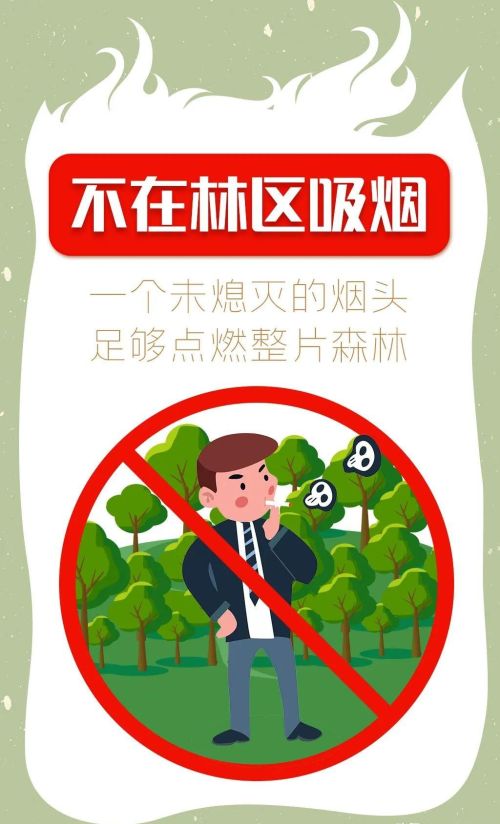 护林防火十有(护林防火十不准是什么)