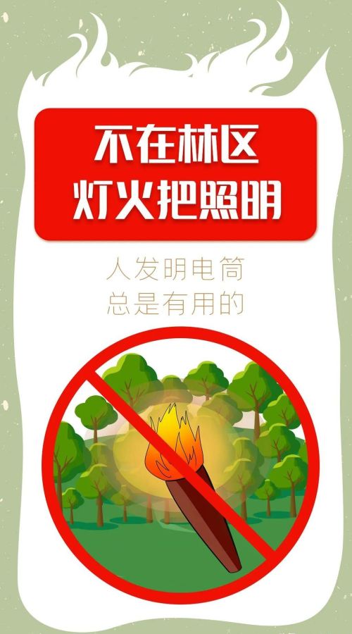 护林防火十有(护林防火十不准是什么)