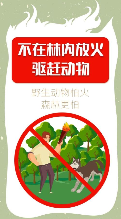 护林防火十有(护林防火十不准是什么)