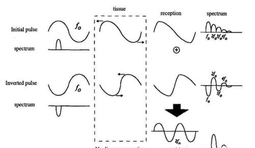 超声非线性成像-谐波成像基本知识