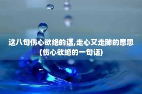 这八句伤心欲绝的话,走心又走肺的意思(伤心欲绝的一句话)