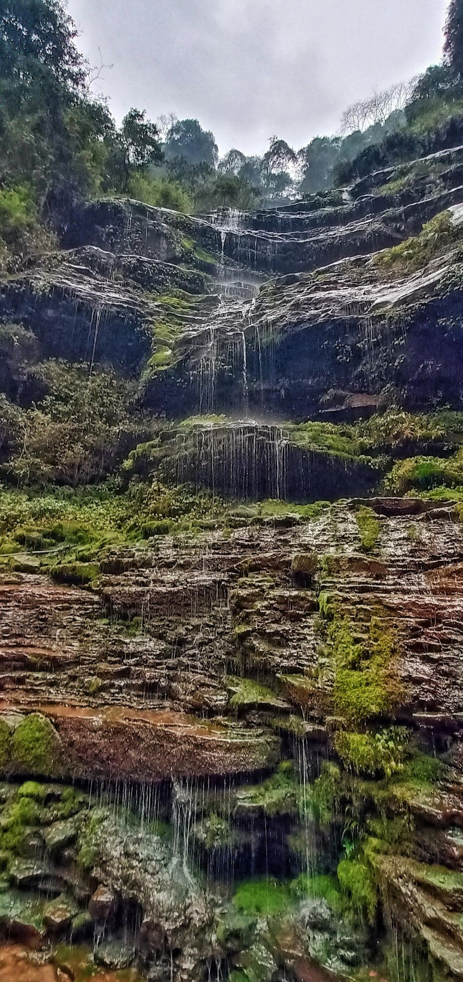 四川旅游景点碧峰峡(四川碧峰峡介绍)