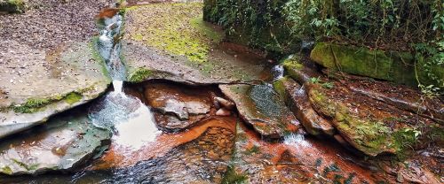 四川旅游景点碧峰峡(四川碧峰峡介绍)