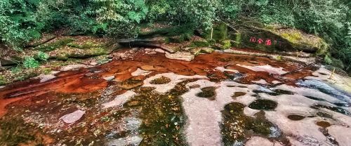 四川旅游景点碧峰峡(四川碧峰峡介绍)