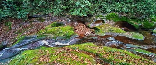 四川旅游景点碧峰峡(四川碧峰峡介绍)