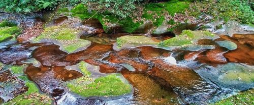 四川旅游景点碧峰峡(四川碧峰峡介绍)