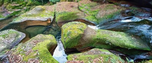 四川旅游景点碧峰峡(四川碧峰峡介绍)