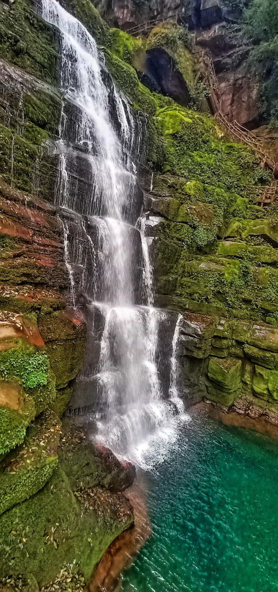 四川旅游景点碧峰峡(四川碧峰峡介绍)