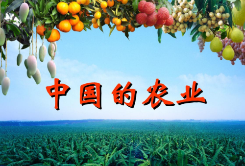中国农业目前面临的“困境”是什么？什么发展模式适合中国农业？
