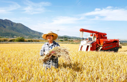 中国农业目前面临的“困境”是什么？什么发展模式适合中国农业？